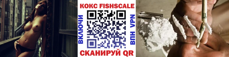 COCAIN Fish Scale  Купить  Ростов 