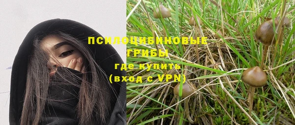 a pvp Медногорск