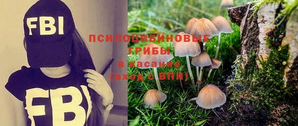 a pvp Мегион
