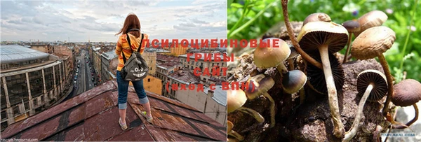 a pvp Медногорск