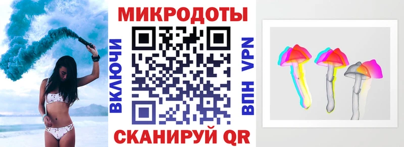 Псилоцибиновые грибы Psilocybe  Купить  Ростов 